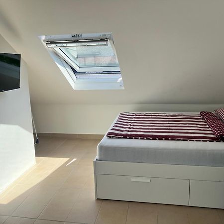 1 Zimmerwohnung In Koblenz 科布倫茨 外观 照片